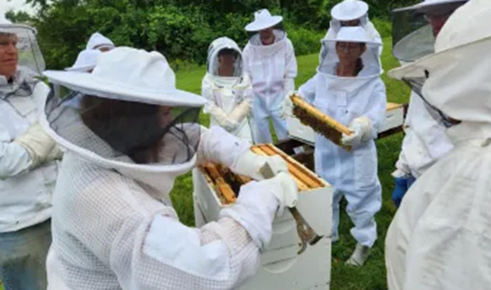 Beekeeping Class